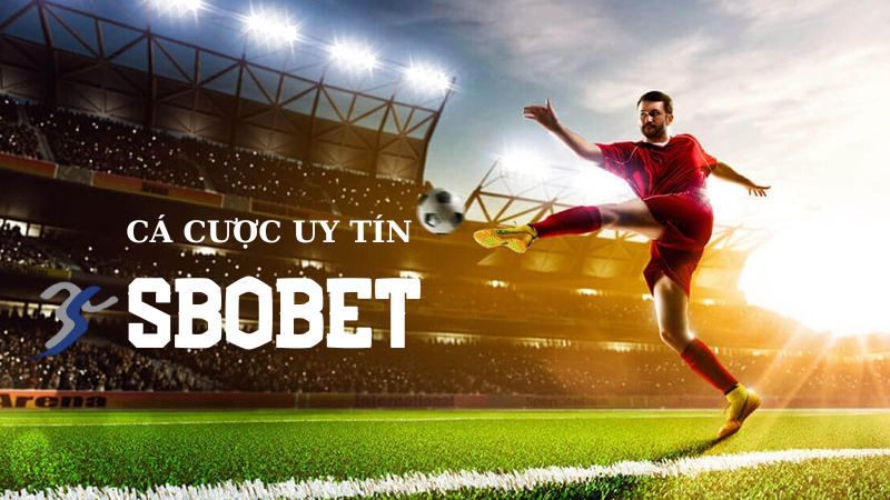 Hướng dẫn chơi cá độ bóng đá tại sbobet 789win dành cho người mới chơi